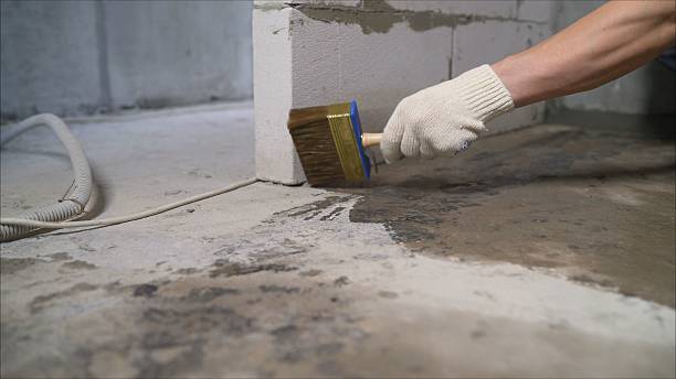 Top rated local Wet Basement Repair specialists in Andover, MN